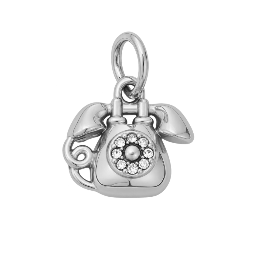 The Old Taylor Can't Come To The Phone - Silver